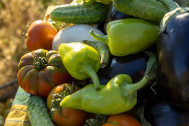 İçinde domates, biber ve salatalık olan sebzeler. Biberler yeşil, domatesler kırmızı.