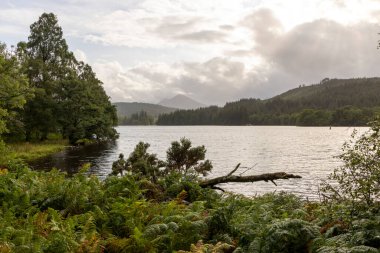 Bereketli yeşilliklerle çevrili sakin bir göl, önünde bir ağaç ve arkasında bulutlu bir gökyüzü. Gökyüzünü yansıtan suyla sahne huzurlu ve huzurlu.