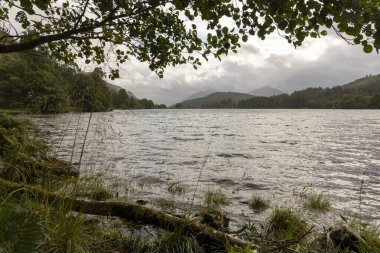 Arkasında bulutlu bir gökyüzü olan bir göl. Su sakin ve ağaçlar yemyeşil
