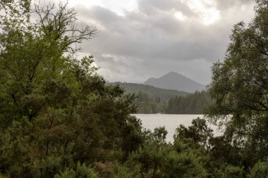 Arka planda dağ olan bulutlu bir gün. Gökyüzü bulutlu ve ağaçlar yemyeşil