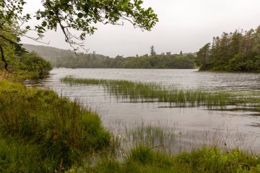 Etrafında bir sürü çimen ve ağaç olan bir göl. Su sakin ve gökyüzü bulutlu.