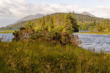 Arkasında dağlar ve göl olan güzel bir manzara. Otlar uzun ve su sakin.