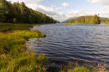 Yeşil bir kıyı şeridi ve arkasında ağaçlar olan sakin bir göl. Su durgun ve berrak, yukarıdaki gökyüzünü yansıtıyor. Huzurlu ve huzurlu bir sahne.