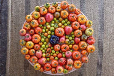 Büyük bir domates ve biber çeşidi bir masanın üzerinde daire şeklinde dizilir. Domateslerin ve biberlerin renkleri canlı ve çeşitlidir. Görsel olarak çekici bir görüntü oluşturur.