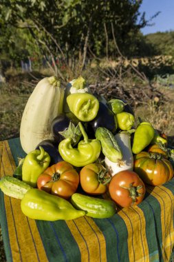 Masada domates, salatalık ve biber içeren bir yığın sebze sergilenir. Sebzelerin düzenlenmesi renkli ve davetkar bir sahne yaratır.