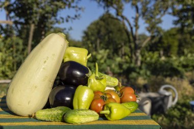 Salatalık, domates ve biber gibi çeşitli sebzeler üst üste yığılır.