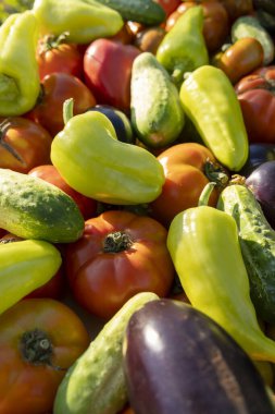 İçinde domates, salatalık ve biber olan sebzeler. Biberler yeşil ve sarı.