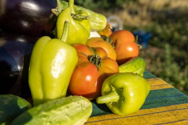 Yeşil biberler, domatesler ve salatalıklarla dolu bir masa. Masa örtüsü sarı ve yeşildir.
