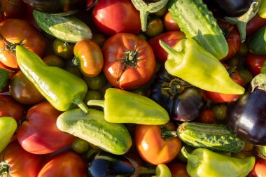 İçinde domates, salatalık ve biber olan sebzeler. Çeşitli sebzeler renkli ve canlı bir şekilde üst üste yığıldıkça bolluk ve tazelik kavramı