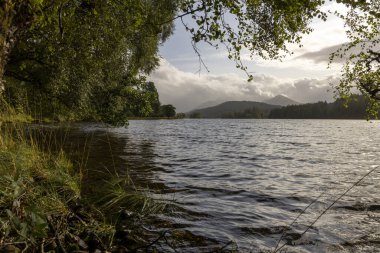 Arkasında bulutlu bir gökyüzü olan bir göl. Su sakin ve ağaçlar yemyeşil