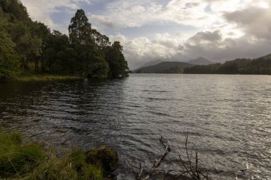 Arka planda ağaç olan bir göl. Su sakin ve gökyüzü bulutlu.