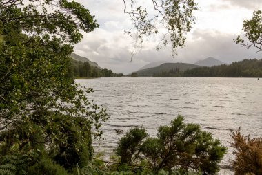 Arkasında bulutlu bir gökyüzü olan bir göl. Su dalgalı ve ağaçlar gür.