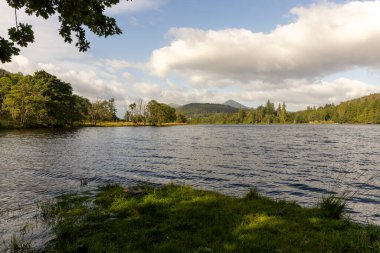 Arkasında bulutlu bir gökyüzü olan bir göl. Su sakin, çimenler yeşil.