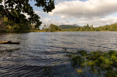 Arka planda ağaç olan bir göl. Su sakin ve gökyüzü bulutlu.