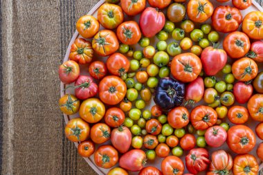 Büyük bir tabak domates ve yeşil domates. Tabak domates dolu ve renkleri parlak ve canlı.