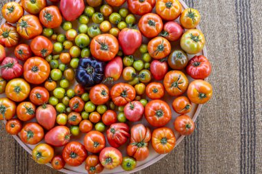 Bir masanın üzerine geniş bir domates ve yeşil domates çeşidi yayılır. Domatesler kırmızı, yeşil ve sarı da dahil olmak üzere çeşitli boyutlarda ve renklerdedir. Bolluk ve çeşitlilik kavramı