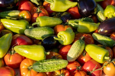 İçinde domates, salatalık ve biber olan sebzeler. Biberler yeşil ve kırmızı, salatalıklar yeşil.