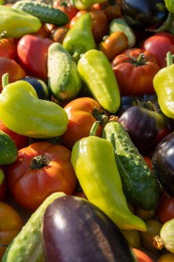 İçinde domates, salatalık ve biber olan sebzeler. Biberler yeşil ve sarı.
