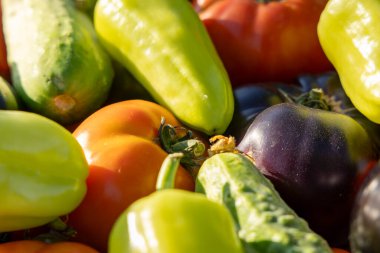 İçinde domates, salatalık ve biber olan sebzeler. Biberler yeşil ve sarı, domatesler kırmızı.