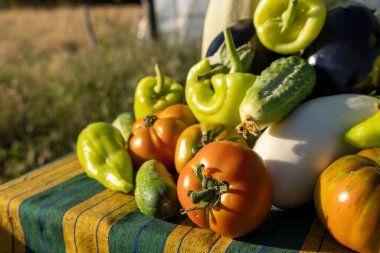 Domatesler, salatalıklar ve biberlerle dolu bir masa. Masa örtüsü yeşil ve sarı.