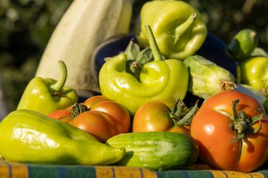 Domatesler, salatalıklar ve biberlerle dolu bir masa. Sebzeler öyle bir düzenlenmiş ki, yenmeye hazırmış gibi görünüyorlar.