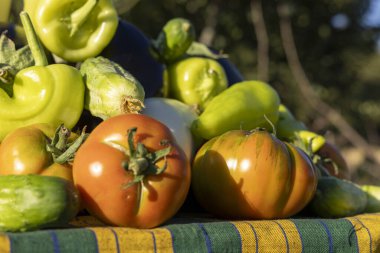 Domatesler, salatalıklar ve biberlerle dolu bir masa. Sebzeler birbiri üzerine yığılıp renkli ve canlı bir görüntü oluşturuyor. Zenginlik ve tazelik kavramı