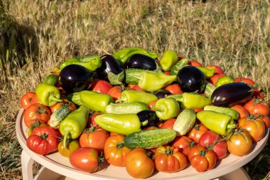 Domatesler, salatalıklar ve biberlerle dolu bir masa. Sebzeler yeni toplanmış gibi görünüyor.