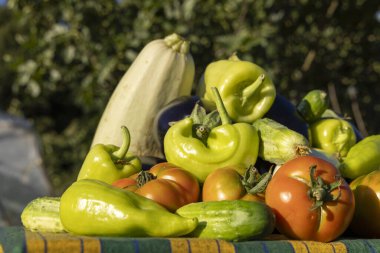 Domates, biber ve kabakla dolu bir masa. Masa yeşil bir bezle kaplı.