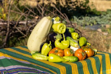 Bir masa kabak, biber ve domates dahil çeşitli sebzelerle kaplıdır. Sebzelerin düzenlenmesi renkli ve davetkar bir görüntü yaratır.