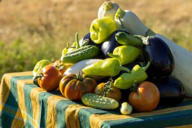 Bir masa domates, salatalık ve biber gibi çeşitli sebzelerle kaplıdır. Masa örtüsü yeşil ve sarı. Sebzeler de bir yığın halinde dizilmiş.