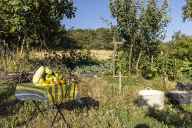 Bahçede çeşitli meyve ve sebzelerle bir masa kurulur. Sahne sakin ve sakin. Bahçede güneş parlıyor. Masa yeşilliklerle çevrili.