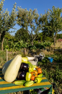 Kabak, domates ve biber gibi çeşitli sebzelerle dolu bir masa. Sahne arka planda ağaçlar olan bir bahçede geçiyor.