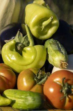 Bir kasede domates, salatalık ve biber gibi çeşitli sebzeler sergilenir. Kase bir masaya konur ve sebzeler renklerini vurgulayacak şekilde düzenlenir.