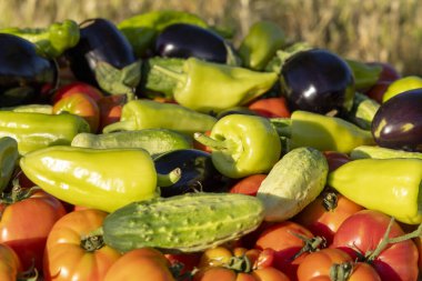 Domates, salatalık ve biber gibi çeşitli sebzeler üst üste yığılır.