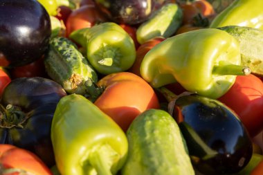 Biber, salatalık ve domates içeren sebzeler. Biberler yeşil ve turuncu, salatalıklar yeşil.