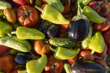 İçinde domates, salatalık ve biber olan sebzeler. Biberler yeşil, domatesler kırmızı.