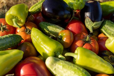 İçinde domates, salatalık ve biber olan sebzeler. Sebzeler üst üste yığılıp renkli ve canlı bir sahne yaratıyorlar.