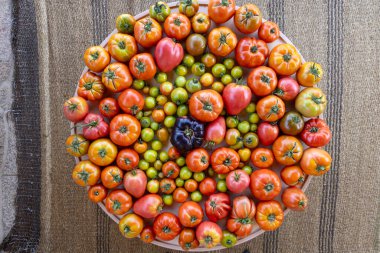 Büyük bir kase domates ve biber. Kâse kırmızı ve yeşil domateslerle dolu ve bazı domatesler siyah. Kase bir masanın üzerine konur.