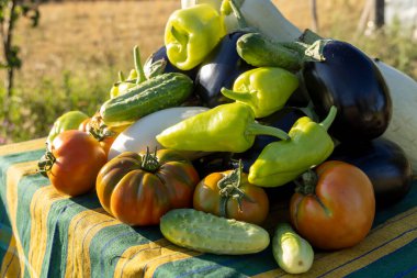 Domatesler, salatalıklar ve biberlerle dolu bir masa. Masa örtüsü yeşil ve sarı.