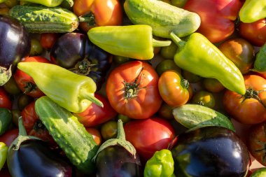 Bir yığın içinde domates, biber ve salatalık da dahil olmak üzere çeşitli sebzeler sergilenir. Bereket ve tazelik kavramı, sebzelerin hepsi iyi durumda ve yenmeye hazır.