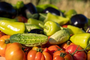 Masada domates, salatalık ve biber gibi çeşitli sebzeler sergilenir. Sebzeler üst üste yığıldıkça bolluk ve tazelik kavramı