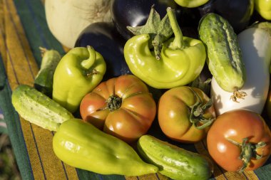 Masada domates, salatalık ve biber gibi çeşitli sebzeler sergilenir. Sebzelerin rengarenk ve cezbedici bir sahne yaratması tazeliği gözler önüne seriyor.