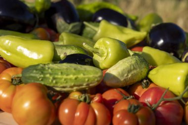 Masada domates, salatalık ve biber gibi çeşitli sebzeler sergilenir. Sebzelerin renkleri canlı ve düzenleri görsel olarak çekici.