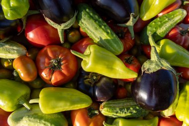 İçinde domates, salatalık ve biber olan sebzeler. Zenginlik ve tazelik kavramı