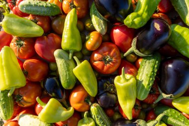 İçinde domates, salatalık ve biber olan sebzeler. Çeşitli sebzeler renkli ve canlı bir şekilde üst üste yığıldıkça bolluk ve tazelik kavramı
