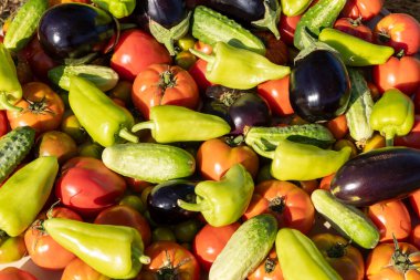 İçinde domates, salatalık ve biber olan sebzeler. Biberler yeşil ve kırmızı, domatesler kırmızı.