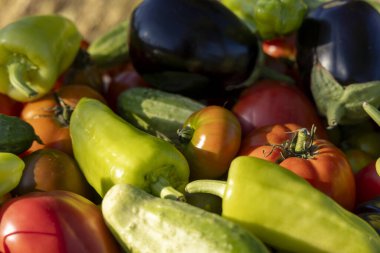 İçinde domates, biber ve salatalık olan sebzeler. Sebzelerin hepsi farklı renk ve boyutlarda.