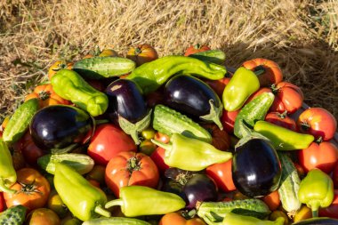 İçinde domates, salatalık ve biber olan bir yığın sebze. Sebzeler bir daire şeklinde dizilir, ortasında yeşil biber ve salatalık ve domatesler bulunur.