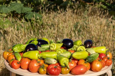 Domatesler, salatalıklar ve biberlerle dolu bir masa. Masa yeşil biber, kırmızı domates ve salatalık gibi çeşitli sebzelerle kaplıdır. Sahne çok canlı.