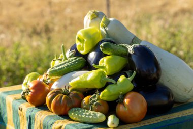 Domatesler, salatalıklar ve biberlerle dolu bir masa. Sebzeler birbiri üzerine yığılıp renkli ve canlı bir görüntü oluşturuyor. Zenginlik ve tazelik kavramı